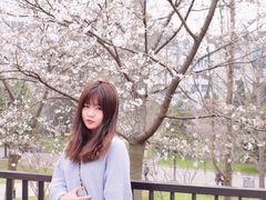 -武汉大学-樱园