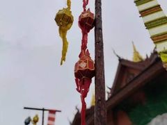 -西双版纳傣族园