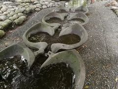 -成都市活水公园