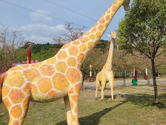 -绵阳盛世樱花悠乐谷