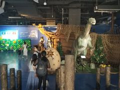 -重庆欢乐海底世界
