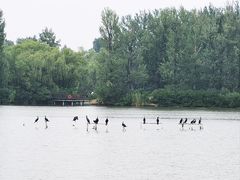 -翠湖国家城市湿地公园