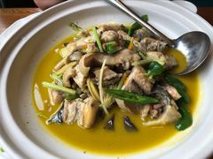 黄焖鲟龙鱼-饭怕鱼(阳光100店)