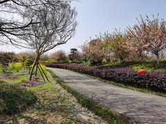 -武汉紫薇都市田园