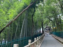 -灵岩山风景区