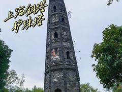 -上海佘山国家森林公园天马山园