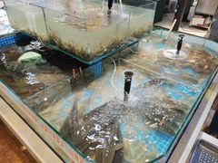 -和源祥·日照菜扛把子(万平口一店)