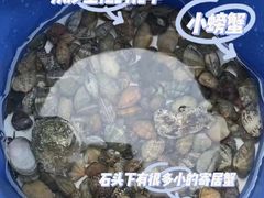 -杨梅坑