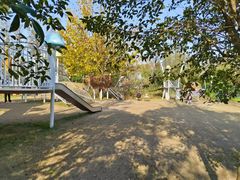 -前小桔亲子创意农场·草莓采摘·露营烧烤