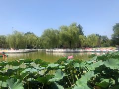 -丰台花园