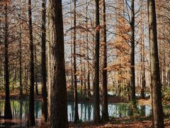 -西溪国家湿地公园