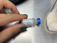 -立德动物医院·异宠·CT·鹦鹉(天河店)