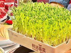 -捞神煲汤火锅(湖滨商业街店)