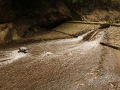 -宁波五龙潭景区