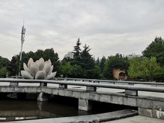 -木塔寺遗址生态公园