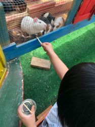 -萌宠亲子动物乐园(槐房万达店)