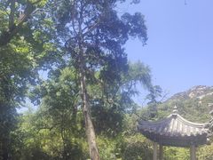 -青岛崂山太清宫