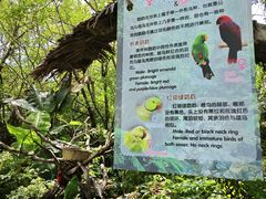 -广州长隆飞鸟乐园