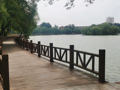 -二一九公园