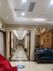 -碧莲盛·不剃发植发