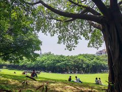 -广州雕塑公园