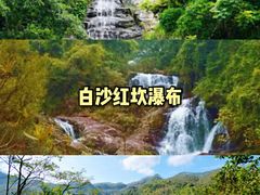 -海南霸王岭国家森林公园