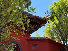 -洛阳白马寺