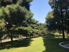 -中央民族大学
