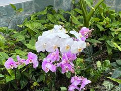 -厦门园林博览苑