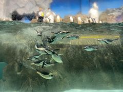 -成都浩海立方海洋公园