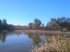 -永定河休闲森林公园