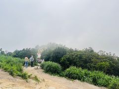 -梧桐山风景名胜区