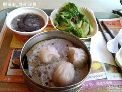 全.-东方既白(上海浦东国际机场)