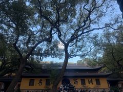 -普陀山风景名胜区-法雨禅寺