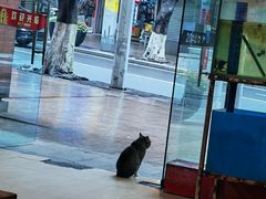 -2048香辣虾(七星岗店)