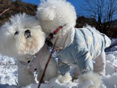 -太子岭滑雪场