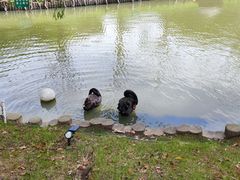 -上海野生动物园