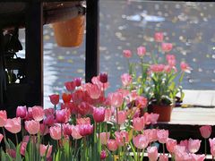 -UME影城(西城广场店)