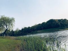 -尚贤河湿地
