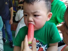-马六甲鸡场街