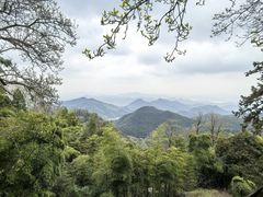 -莫干山风景区