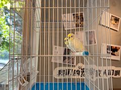 -时光花园(白鹭洲店)