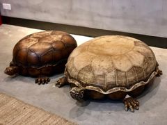 -MUSEE CAFE(保利·时光里店)