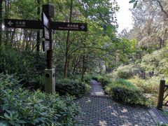 -铁山坪森林公园