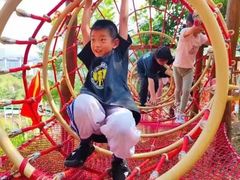 -能量小象·感统·专注力·语言(崂山校区)