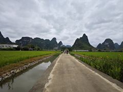 -明仕田园