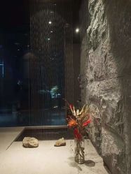 -美壹生诊所皮肤管理中心·海菲秀&Legacy美白舱