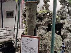 -东山雕花楼