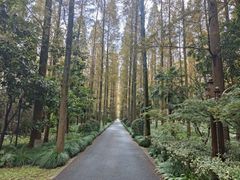-上海怡沁园度假酒店