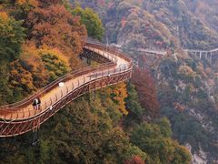 -少华山国家森林公园